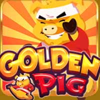 Golden Pig